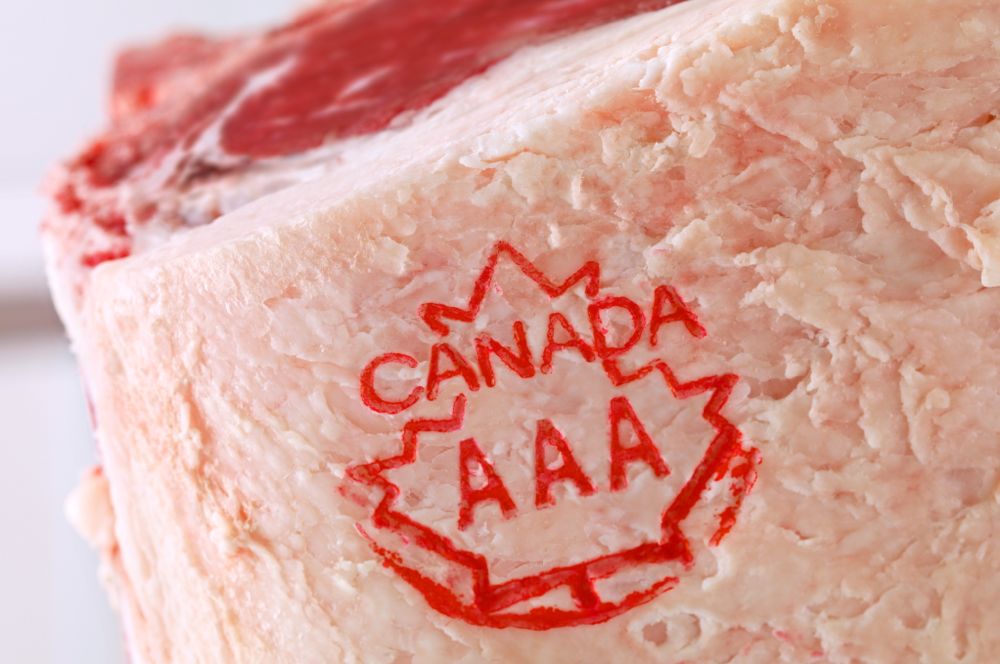 Canadian Meat Science Association Events
